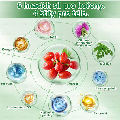 🎁BSWELL® Nano mikrovpichová zeštíhlující náplast(Stačí použít pouze jednou denně – viditelné změny již za 28 dní)Bezbolestná, dlouhotrvající, zaměřená na řešení cukrovky, obezity a kardiovaskulárních onemocnění🎁